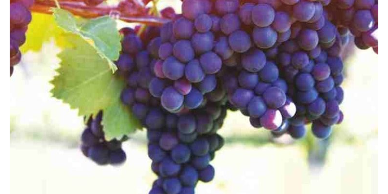 JR-2023-05  MAY  TAM